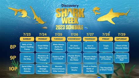 discovery chanel canal|discovery channel schedule.